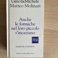 Anche le Formiche nel loro Piccolo si Incazzano