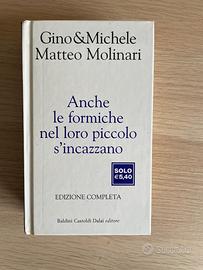 Anche le Formiche nel loro Piccolo si Incazzano
