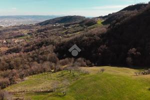 TER. AGRICOLO A CHIAMPO