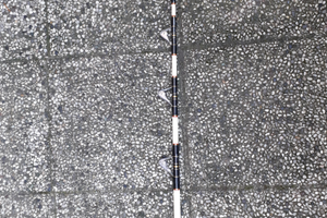 Penn international 80lb