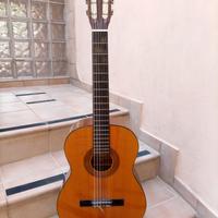 chitarra Majr made in Korea