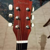 chitarra elettrificata 