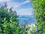 Immagine 21