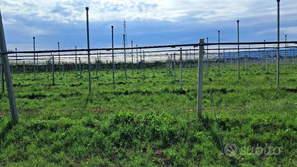 Immobile in asta di 27870 m² a Polistena - Vista 4
