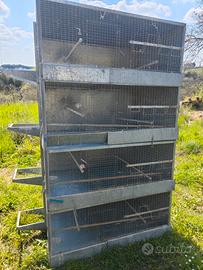 Gabbie professionali per uccelli