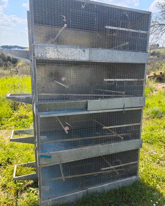 Gabbie professionali per uccelli