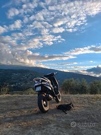 piaggio thypoon 50 