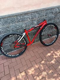telaio Specialized con ruote