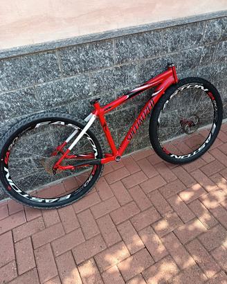 telaio Specialized con ruote