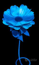 Margherita gigante azzurra 