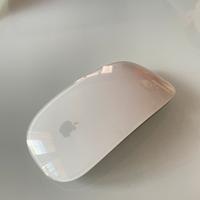 Apple magic mouse