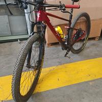 MTB Lee cougan rampage innova 