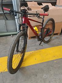 MTB Lee cougan rampage innova 