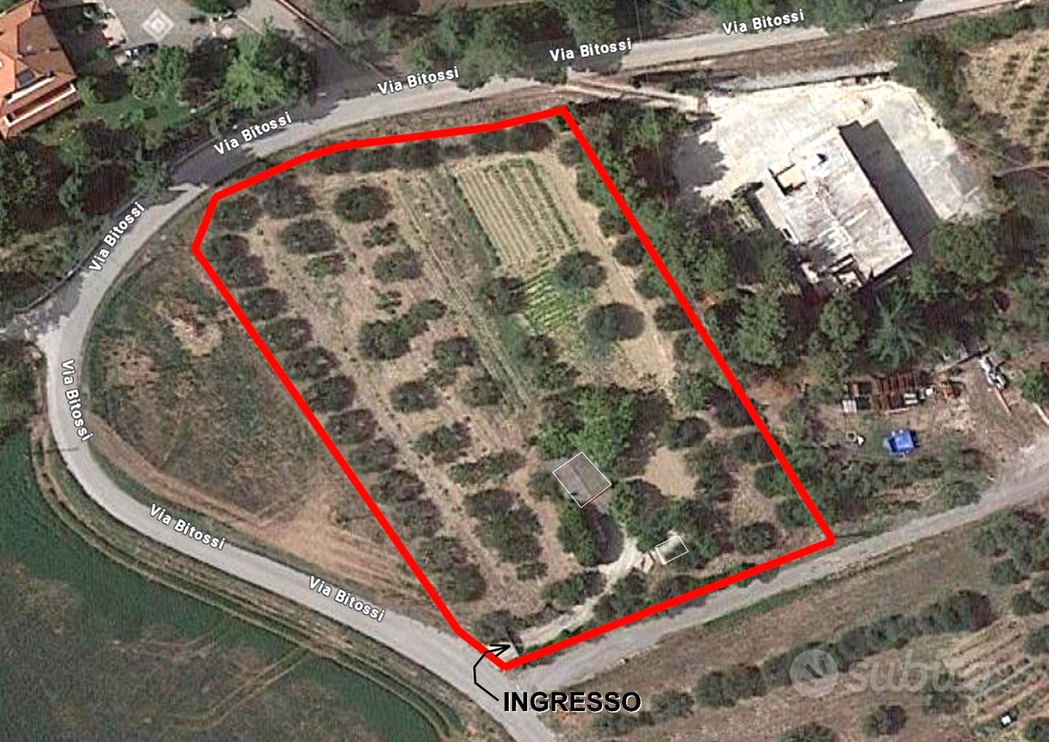 Terreno agricolo 5000 MQ con uliveto e prefabbrica - Vista 2