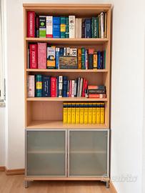 Libreria con contenitore e ante in vetri sarinato