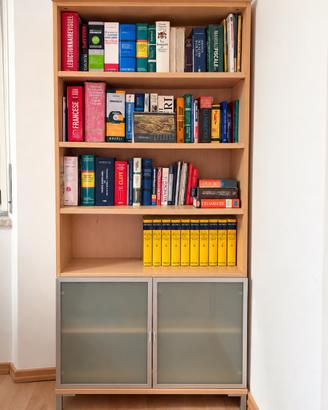 Libreria con contenitore e ante in vetri sarinato