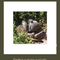 Federa cuscino