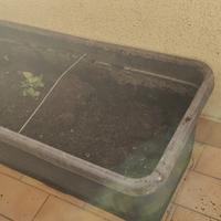 vasi grandi 80x40x35 in plastica