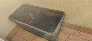 vasi grandi 80x40x35 in plastica