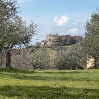 Terreno edificabile a Gualdo Cattaneo