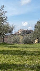 Terreno edificabile a Gualdo Cattaneo