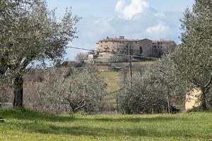 Terreno edificabile a Gualdo Cattaneo