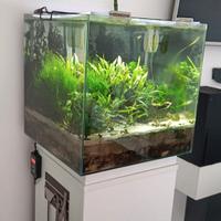 acquario NEWA MORE 50 LITRI