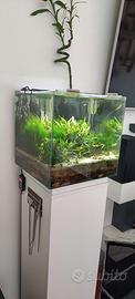 acquario NEWA MORE 50 LITRI