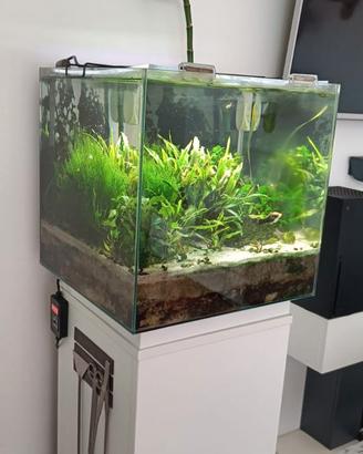 acquario NEWA MORE 50 LITRI