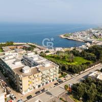 Appartamento - Giovinazzo