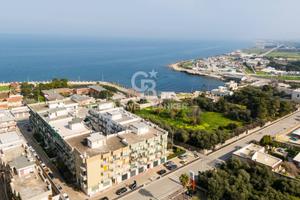 Appartamento - Giovinazzo