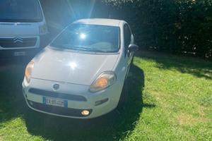 Autocarro Fiat Punto Evo