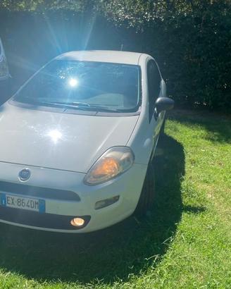 Autocarro Fiat Punto Evo