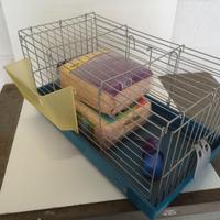 gabbia animali  e accessori