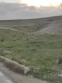 Terreno rustico c.da Cipollina/badia/colleggio