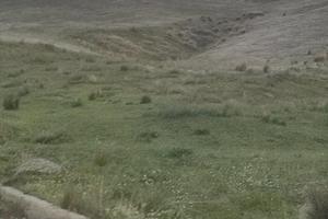 Terreno rustico c.da Cipollina/badia/colleggio