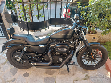 Harley Davidson 883 Iron