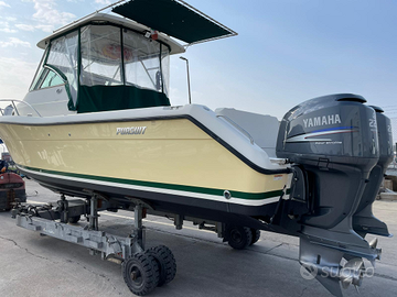 Coppia motori Yamaha 225 v 6 con strumentazione