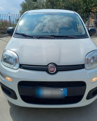 Fiat Panda 5 POSTI 2021 IN PROMOZIONE PER POCHI GI