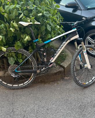 Canyon nerve 9.0