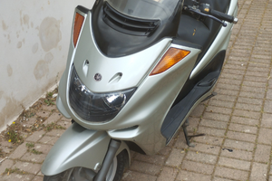 Yamaha Majestic 250