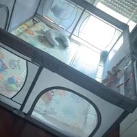 Box per bambini