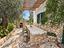 Immagine 10