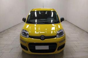 Panda 1.0 FireFly S&S Hybrid Pop