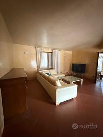 Divano angolare in oelle chiara elegante comodo