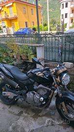 Hornet 600