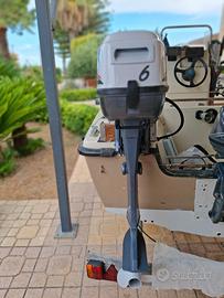 MOTORE MARINO ANNO 2025 (SELVA OYSTER 6CV)