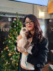 Baby Sitter & pet Sitter disponibile da metà marzo