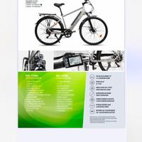 Bicicletta elettrica