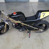 minimoto da pista